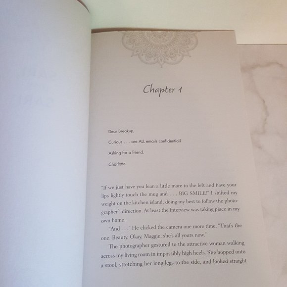 Sari, Not Sari Novel by Sonya Singh - Picture 5 of 7